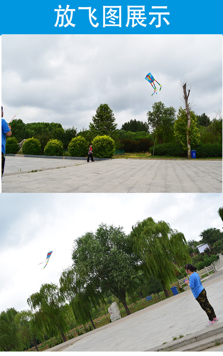 鱼竿风筝详情_03(1)