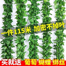 �G�~���~�ӾG논ٻ��ٗl����p�@�ܵ�����b�ֲ���������ѾG���]