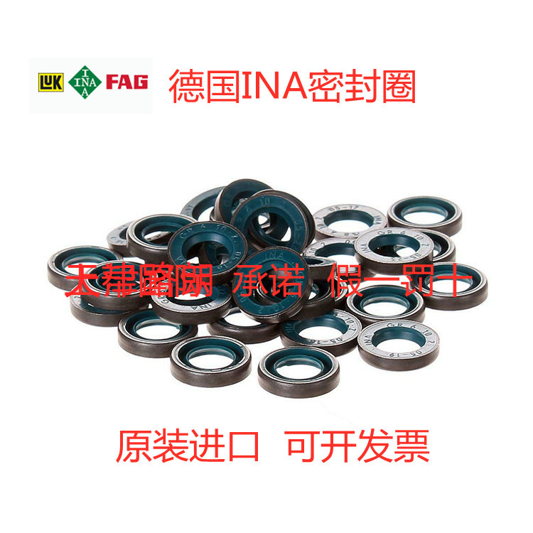 德国INA密封圈油封GR4X8X2密封圈 GR5X9X2密封圈 GR5X10X2油封