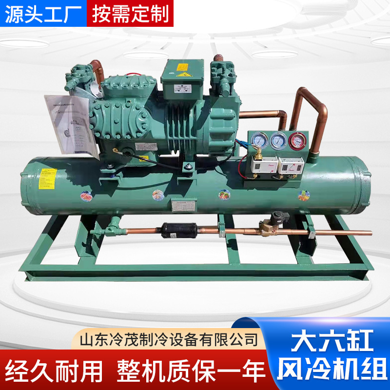 Large six-cylinder BITZER fresh-keeping frozen semi-closed piston refrigeration equipment low temperature 25p30p40p air cooler