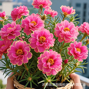 ���羳��؛����߅�R�X�{�N�ӻ�ɫ�R�X�{���N���̨����̫ꖻ��N��