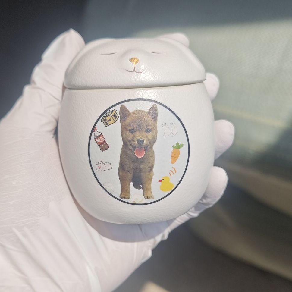 개/사진-소형 + 6inch 사진 받기