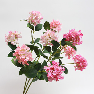 ����3�^����  3�^��ޱ�� �Ҿ��b� �Ƶ�ǰ̨�쾰���÷��滨