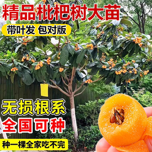 ���˘����޽��ش������ͺ����������Ե����ϱ����Nֲ����Y��
