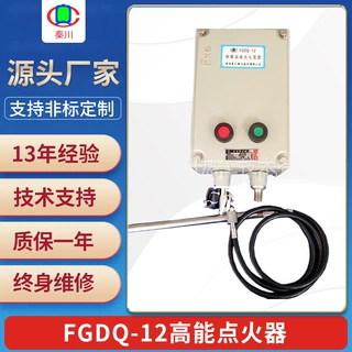 FGDQ-12高能点火器 现货可定制点火设备 锅炉窑炉液化气点火装置