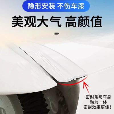 Lid and Roof Edge Gap: Vehicle Sealing Strip