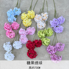 ǹ 3^ٻcֹYòb򻨶