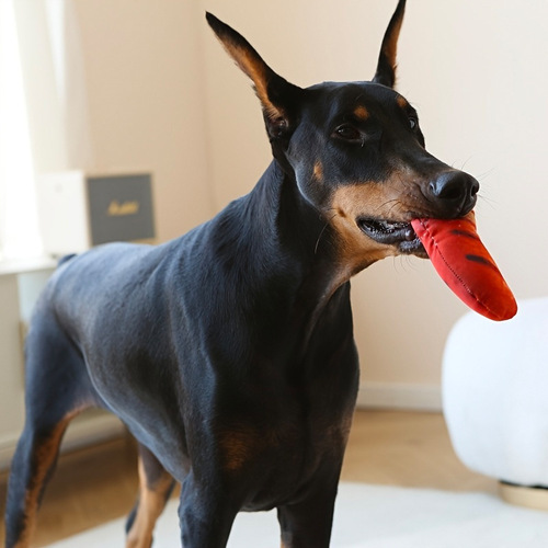 Amazon Dog Toys Plush Filled Simulated Chicken Ingredient Sound Pet Toy Amazon