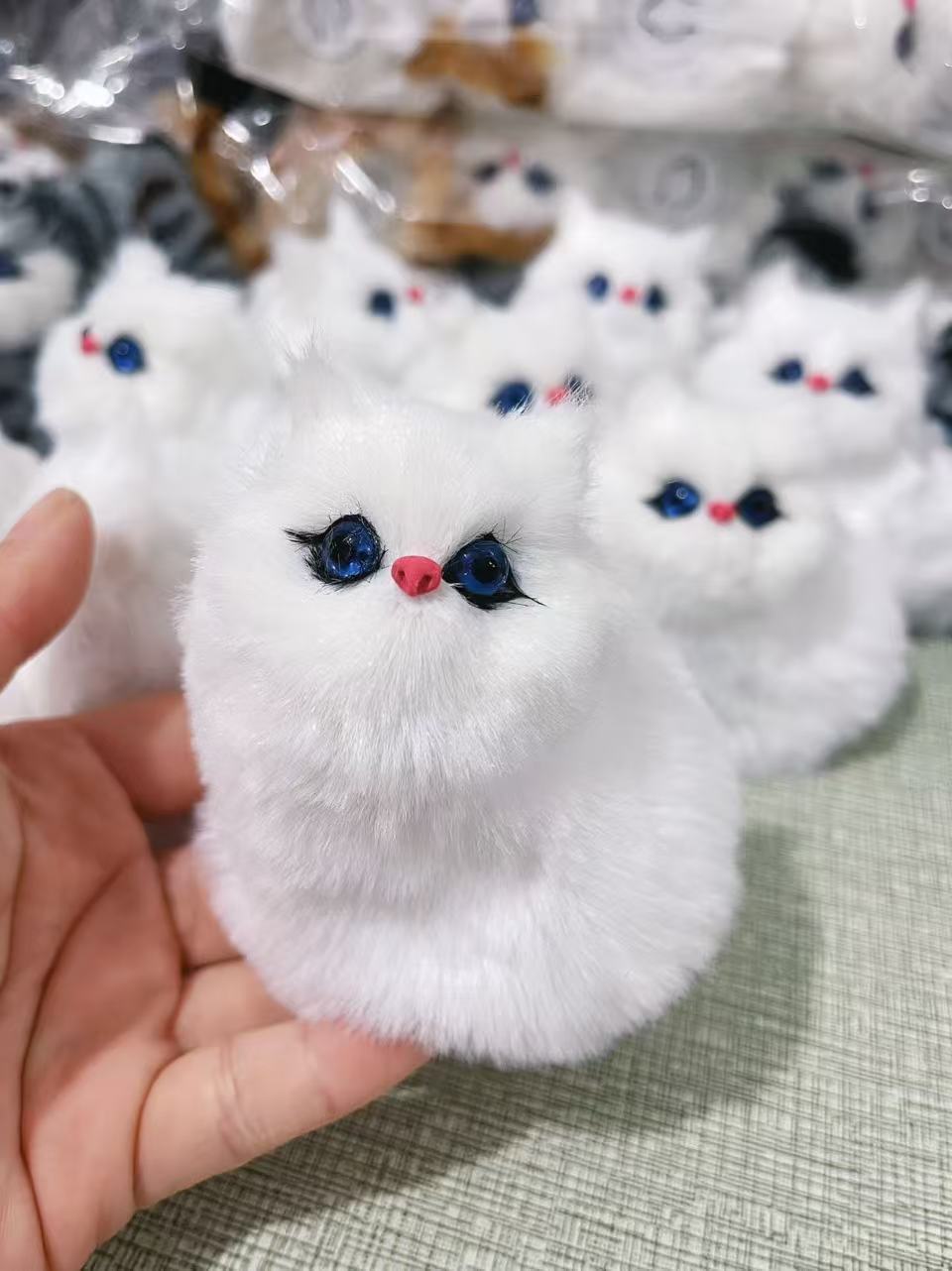 흰 고양이 (짖을 수 있음)