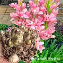 �ذ���ˮ������N��󻨝����ļ������ͺ���ؿ��ԾGֲ�����҃���