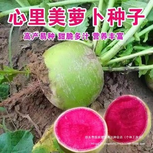 �������}���N�Ӵ���t�ļtˮ���}���N���ļ��M�Ǽt�������}���N��