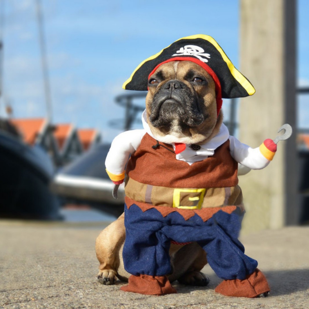 Transfronterizos Halloween mascotas piratas disfraz de gato pequeño y medio perro extraña ropa de mascotas al por mayor