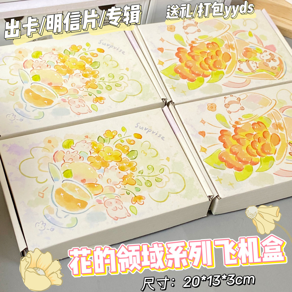 花的领域飞机盒卡通可爱快递礼品盒包装出卡打包材料手工发货