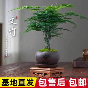 ���������ļ����໨��ֲ���҃��k����ˮ��͏d����С�Gֲ�����辰