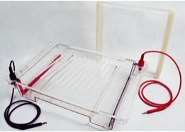 Beijing 61 instrument DYCP-32C type agarose level Electrophoresis 3-year warranty
