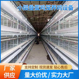 小层叠蛋鸡笼养鸡设备立体式阶梯式蛋鸡笼养殖场三层四层备育雏笼