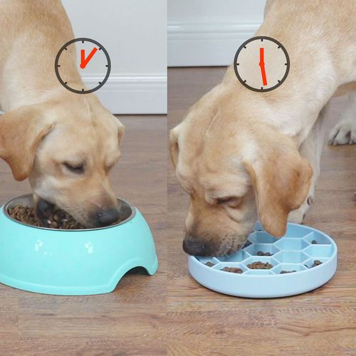 Silicone Dog Bowl Anti-Choking Slow Feeding Bowl for Small to Medium Dogs, Pet Feeder, Cat Bowl, Dog Food Bowl, Anti-Spill suction cup bowl