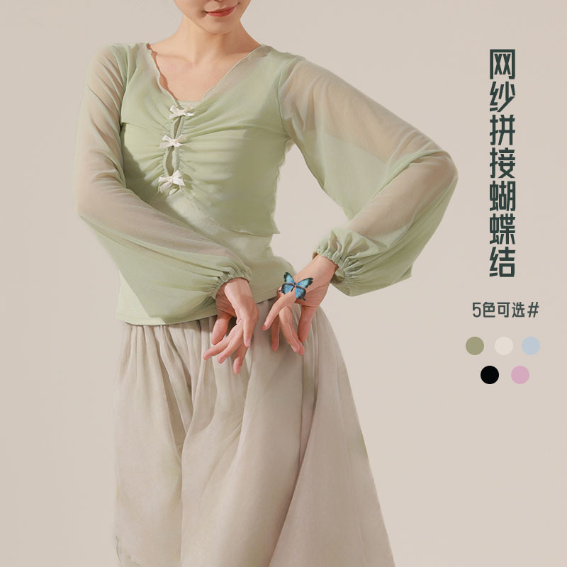 Dance Suit Training Suit Female Teacher Adult Classical Dance Slim-fit Slimming Mesh Stitching New Chinese Style Dance Top