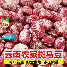 斑马豆250克 肾豆 花豆 神豆农家荷包豆花菜豆大红豆红芸豆花芸豆