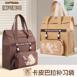 文件袋;文件夹;资料册