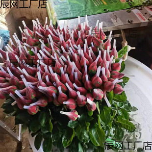 �t���_������������l��ԭ�r�����ɼtõ�忨�_������õ�廨