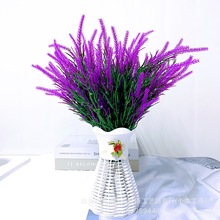 ����޹�²ݼٻ�5����滨��c�ҾӔ[�����ϻ��҃��b�Ʒ�ɻ�