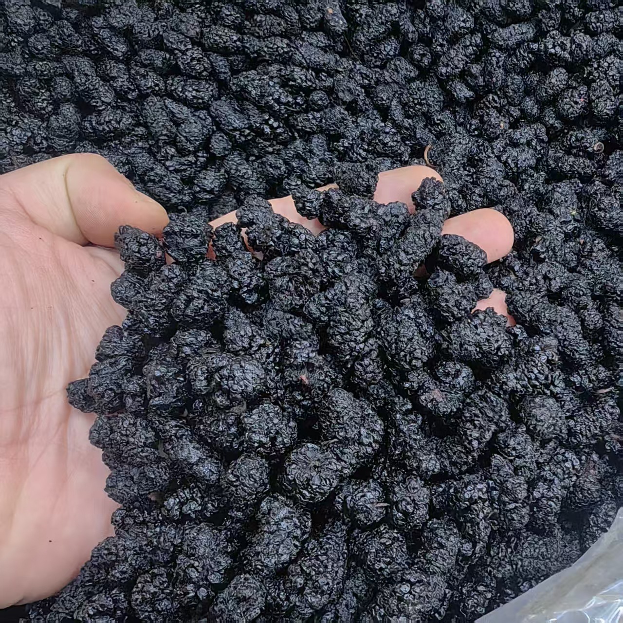 Dried Mulberry Fruit Sang Shen Zi 500g Sulfur-Free Dark Mulberries Plump Whole Berries for Tea and Culinary Use key features