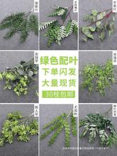 ��c�Gɫ���廨�~�����~�٘��~�ϙ��~���ľGֲ�b��ȼ����~��