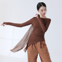 古典舞蹈服练功服女新款身韵舞衣长袖套指飘纱修身演出形体服上衣