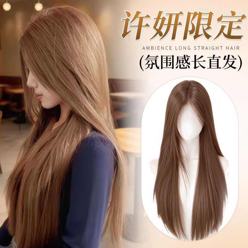 Full Wig for Women - Xu Yan's Same Style Wig [Autumn Latte] Warm Brown Natural Long Straight Side Part Wig