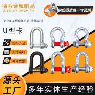 Manufacturer D-Shaped Shackle High-Strength Lifting Shackle Marine Buckle U-Shaped Horseshoe Bow Type Lifting and Lifting Shackle