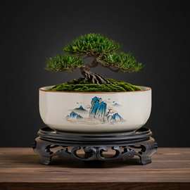 陶瓷水培花盆大号汝窑水仙花睡莲碗莲铜钱草无孔水养专用花盆清仓