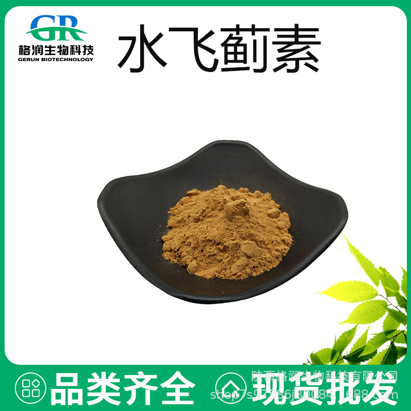 水飞蓟素 80% 水飞蓟提取物 另有水飞蓟宾 量大从优 欢迎订购咨询