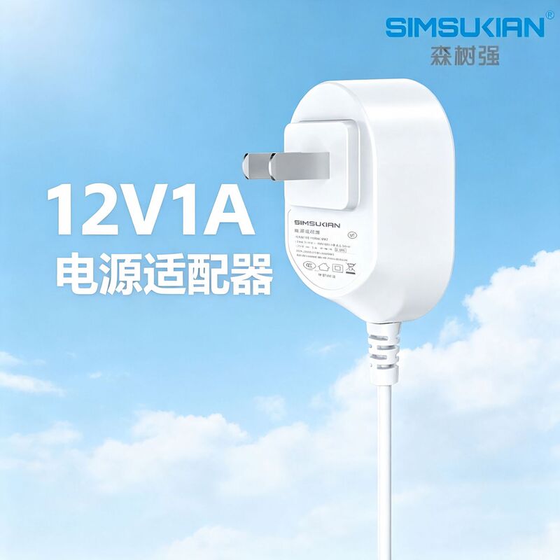 Chinese Standard Power Adapter 12V1A Full Power Regulated Dc Power Supply Suitable for Sweeping Robots and Bluetooth Speakers