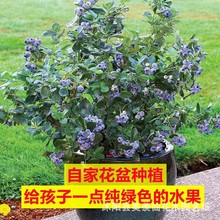 {ݮ玧{ݮϱNֲش̨Ԙ箔Y