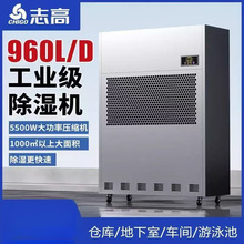 ���I����C���ʳ��C�}��܇�g���������͵���������������