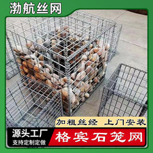 ���Z�o�|��Ѵб������ʯ�\���e�W���� ����\���B�ӵ��B�o�bʯ�\