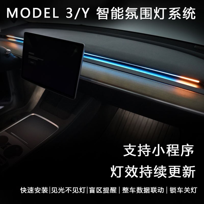 适用于特斯拉智能氛围灯BSD车载气氛灯盲区监防撞警示转向灯焕新y|undefined