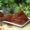 椰糠多肉適用土多肉有機營養土盆栽種植透氣花泥椰糠適用土壤肥料