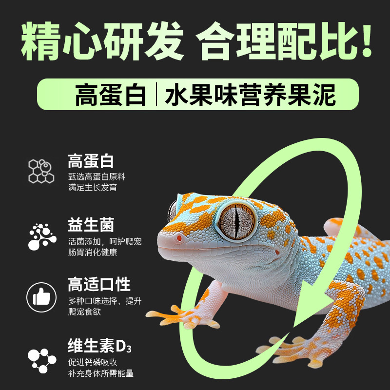 トカゲ、爬虫類、ペットフルーツパウダー、ヤモリ、昆虫泥、リウムドラゴン、トカゲフルーツ泥パウダー、栄養フルーツパウダー、ヒョウブルータングフード、配送|undefined