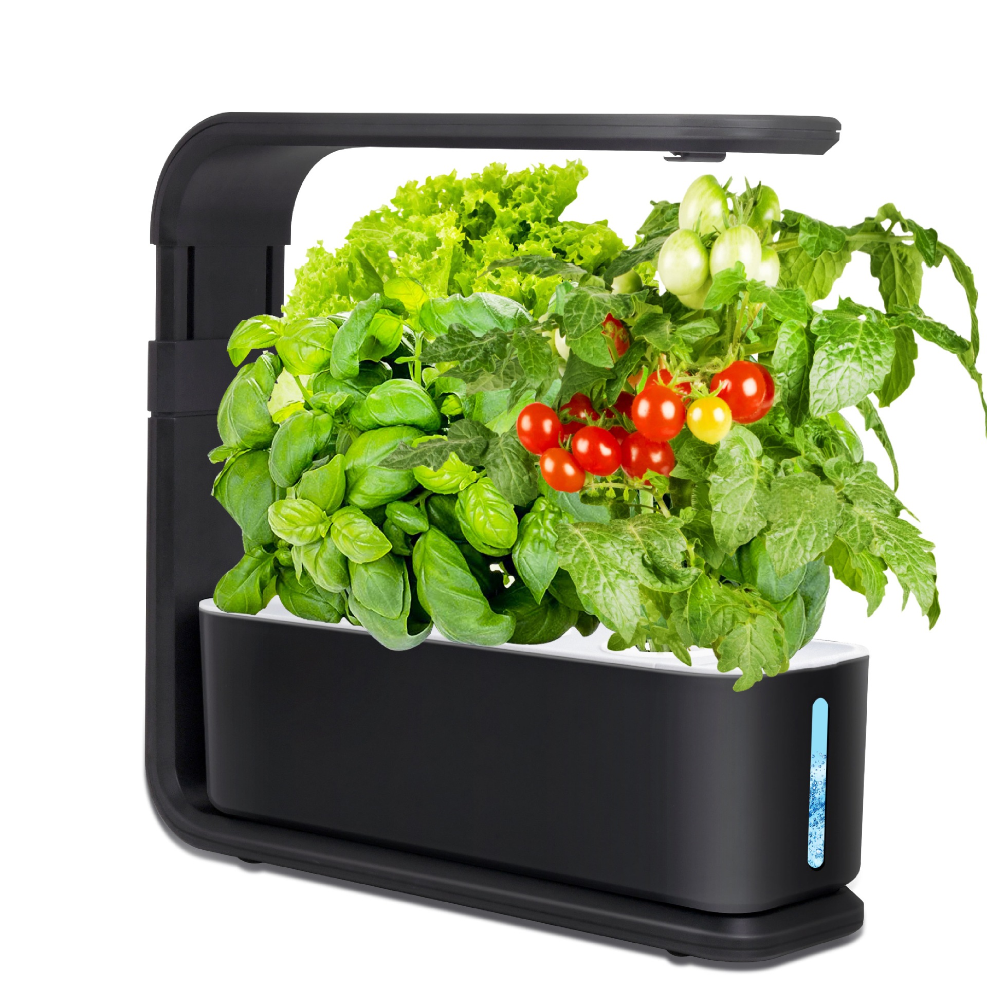 Amazon prefiere la caja de verduras perezosa, la máquina de plantación hidropónica inteligente, la luz de relleno para el hogar, la luz del sol, la lámpara de crecimiento de la planta