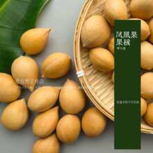 �F���P�˵������֓u⏲����Ʒ�L⏹���diy�����b�����С�Ʒ�o