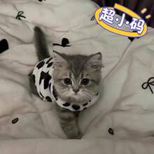 ؈���·��ɐ�С��؈��u��0��3���²豭С�wȮ�ﶬ��ů�Ӻ�С�·�