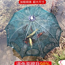 �ۯB��\�~�W�O�W�\���~ֻ�M�����r�\���r�\�~�\�ؾW�\���~�\