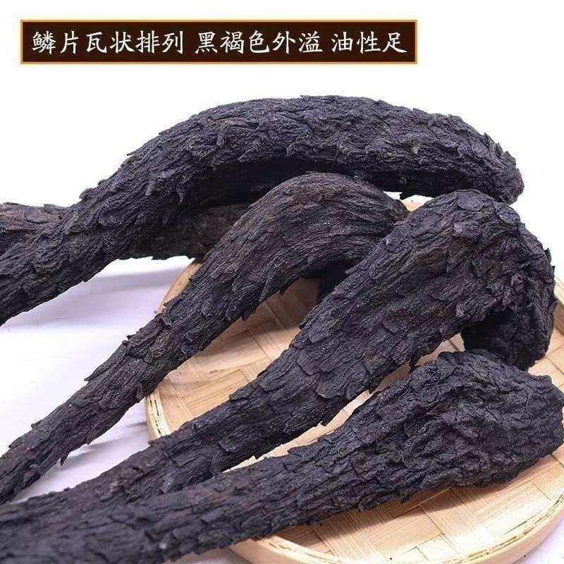 Nine Times Steamed Cistanche Slices Rou Cong Rong 500g Vacuum Packed Desert Herb for Decoction and Soup in use