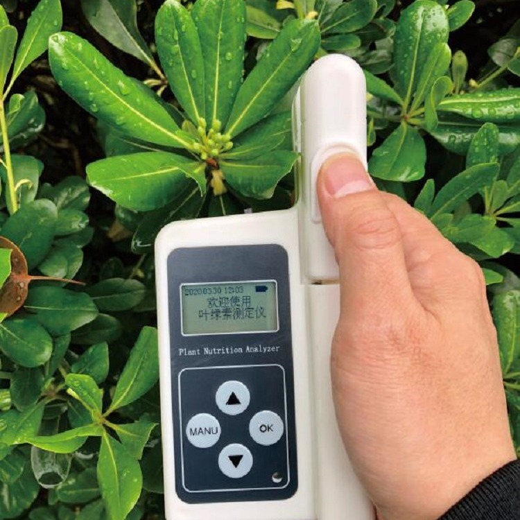 叶绿素测定仪 型号:LP72-LYS-B库号：M403975