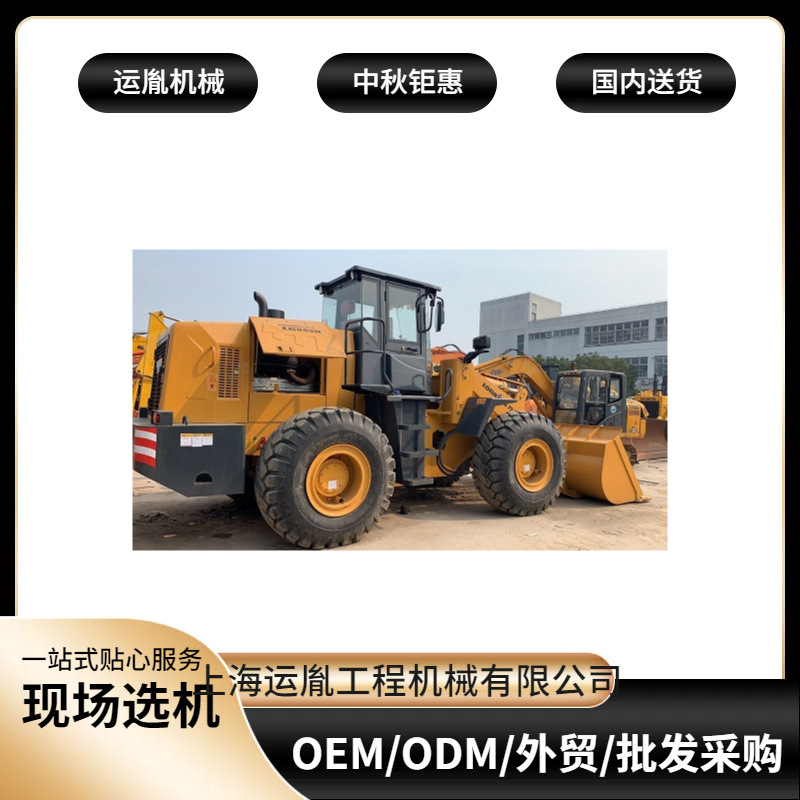 供应龙工50铲车龙工30装载机 龙工50侧翻装载机安全工程铲车