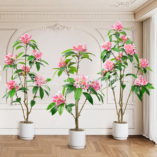 �����u�����ָ��z���u���~�Gɫ�٘��~�@���҃����쾰�b��u������