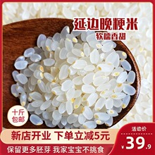 2024�|������߅С���㾬�׬Fĥ������ѿ����ܛŴ����10�����l