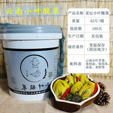 小叶芥菜酸菜广东潮汕整颗老坛商用整箱桶装酸菜鱼专用的泡菜
